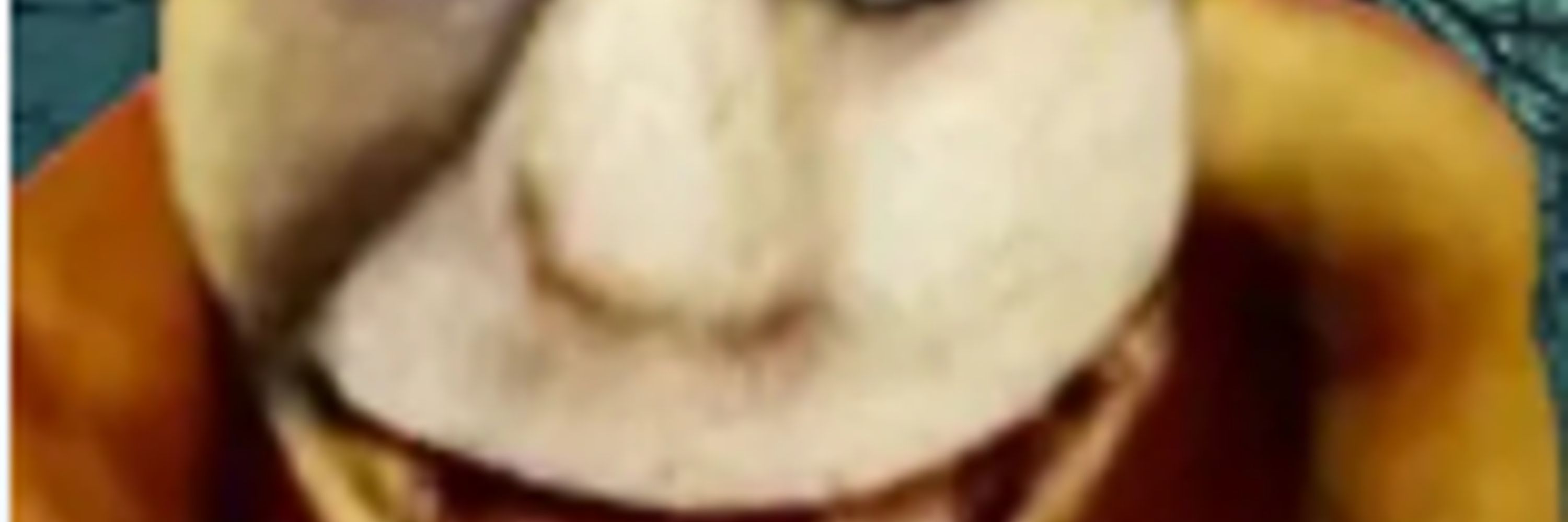 Sunkdev the evil