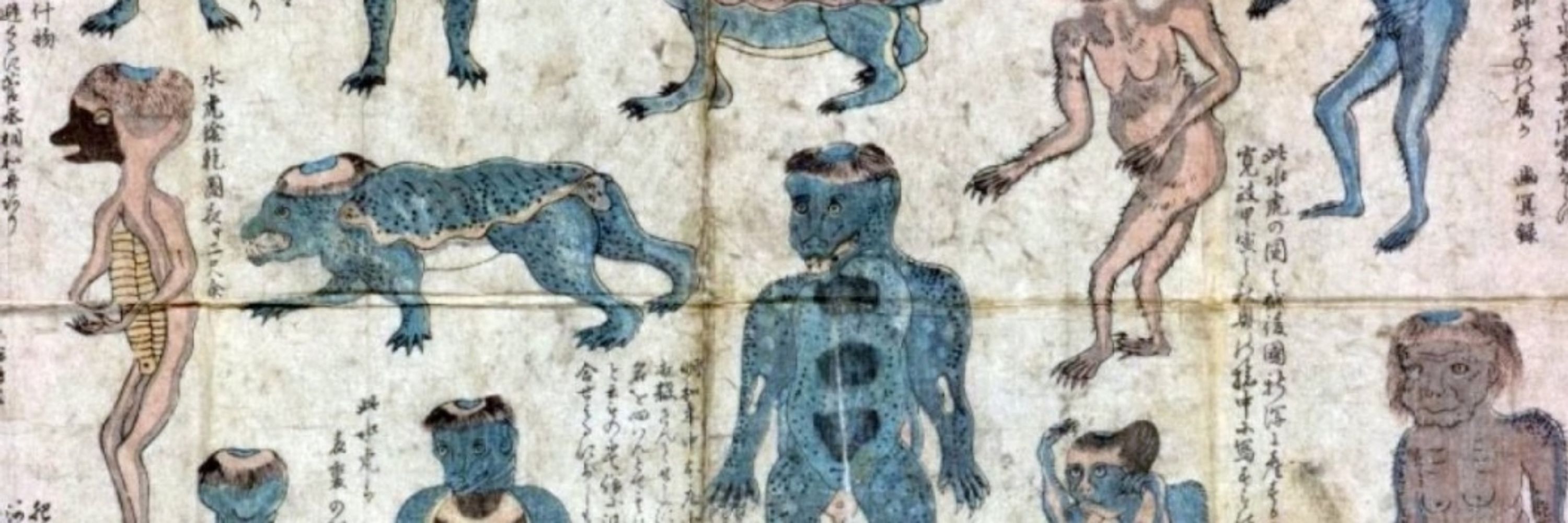 Kowaimonkeybrain 狂猿脳