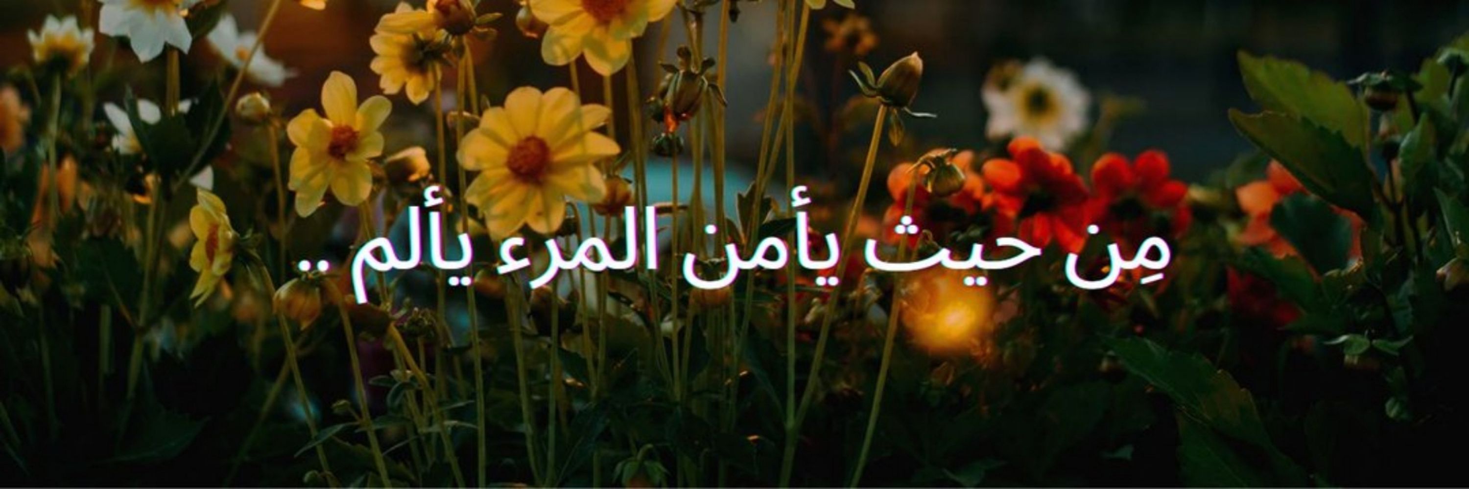 مِنَوَّر 💡