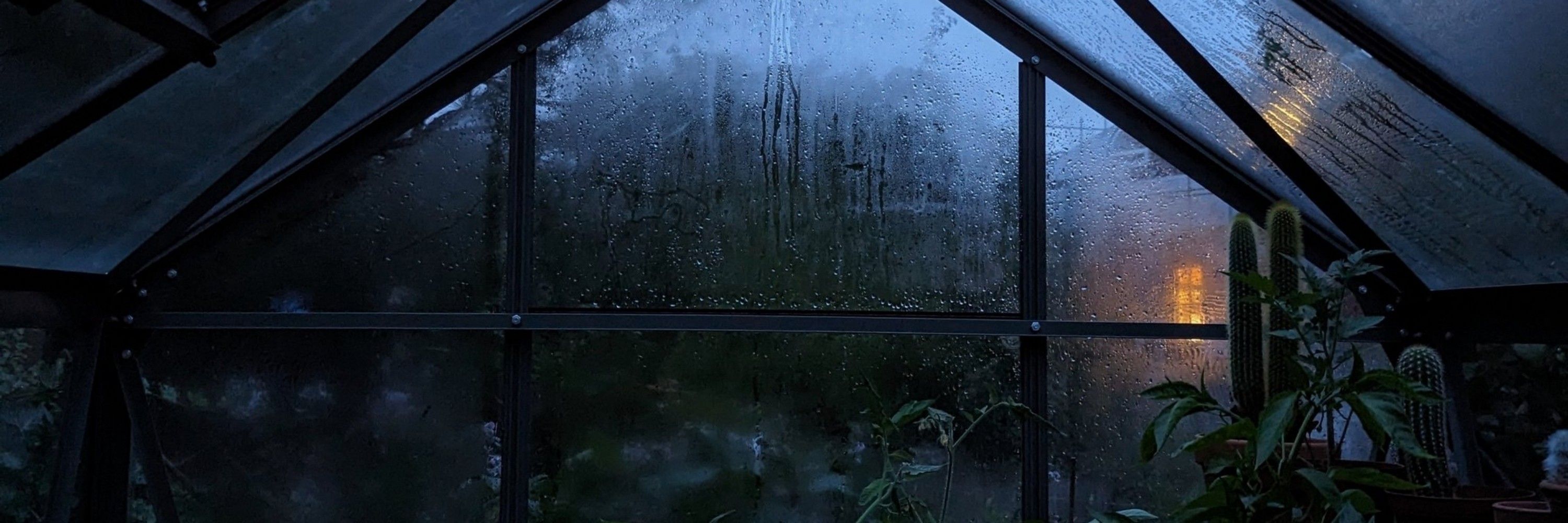 Laura Ward