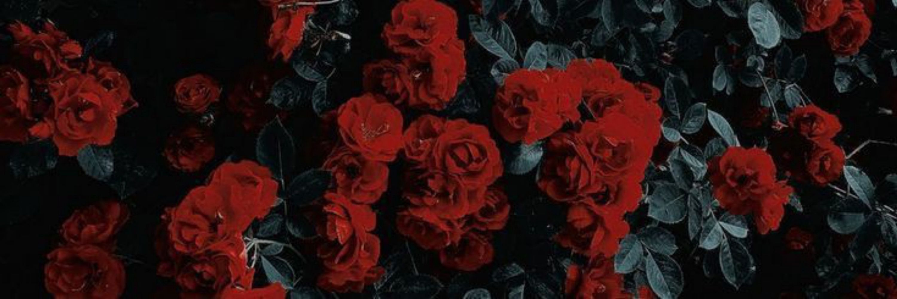 𝑨𝒊 𝑵𝒐 𝑲𝒂𝒎𝒊