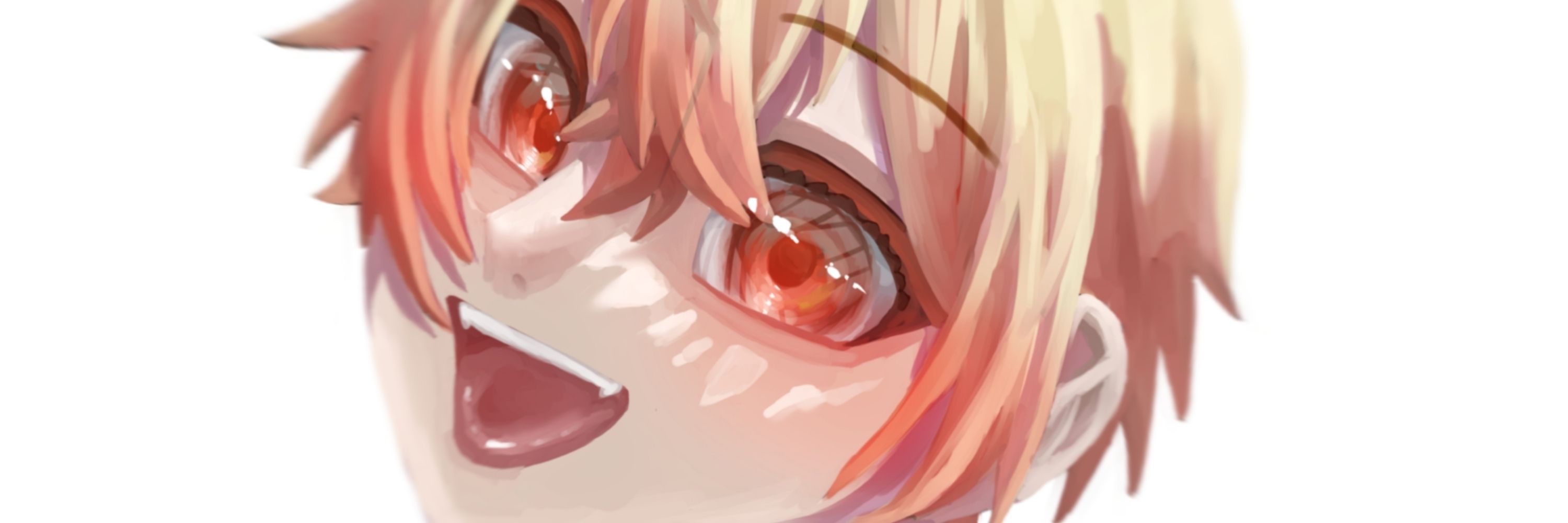 三茶ぬこ