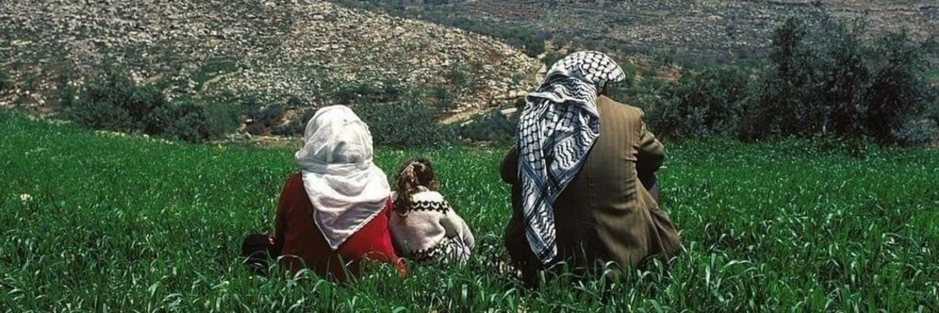 𝐉𝐎𝐘𓂆🇵🇸