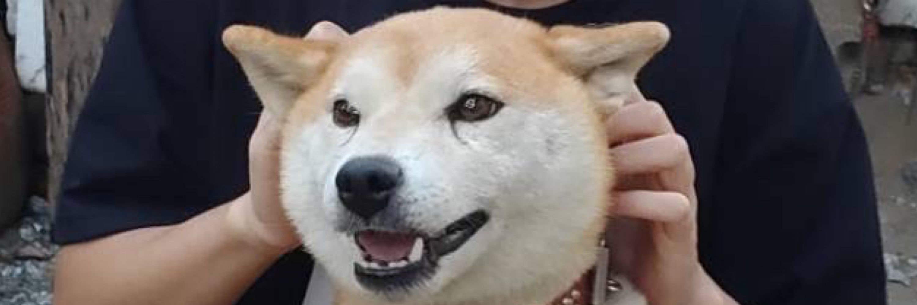 ゆう