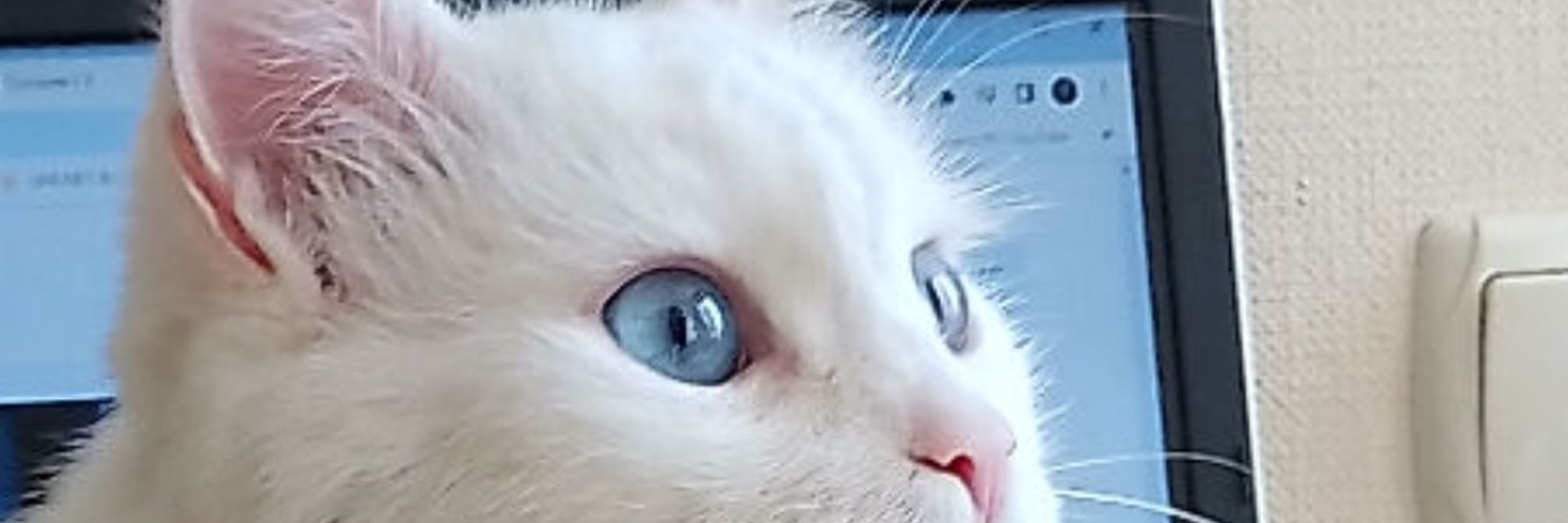Тетяна