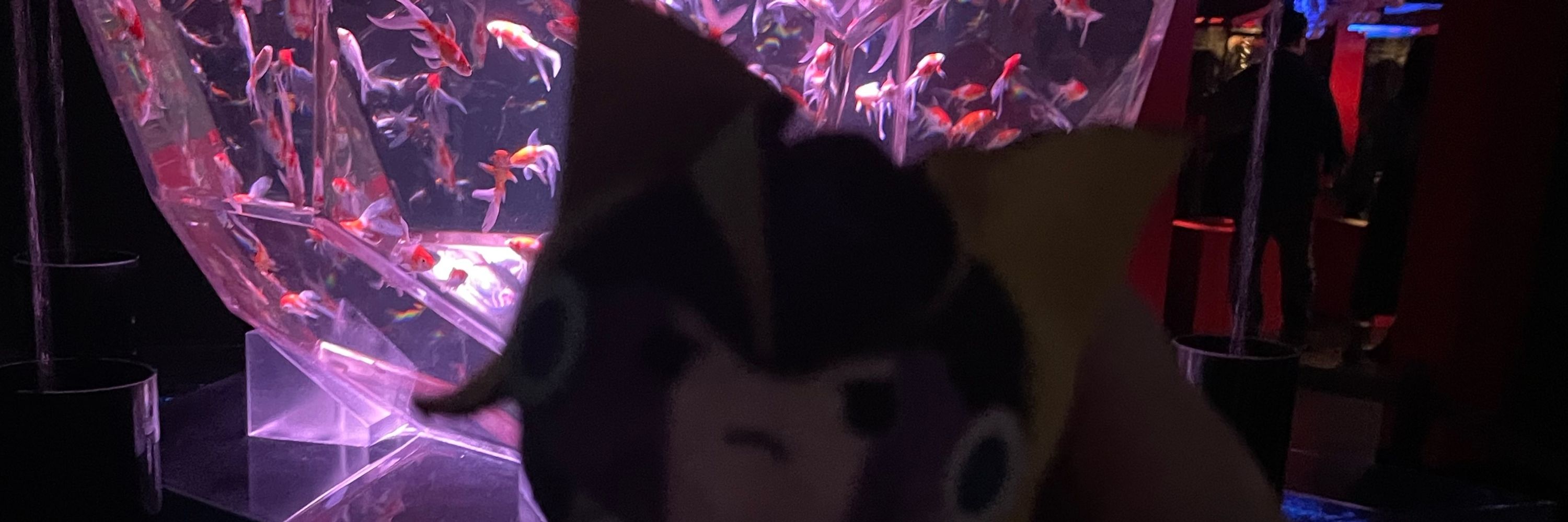 望月