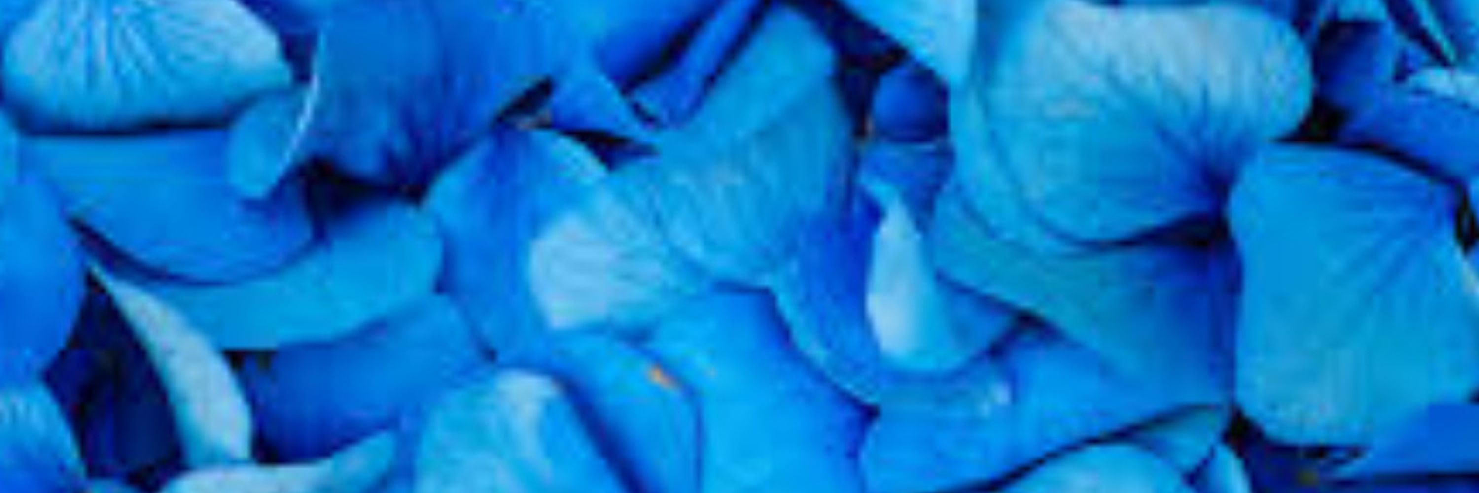 Frost