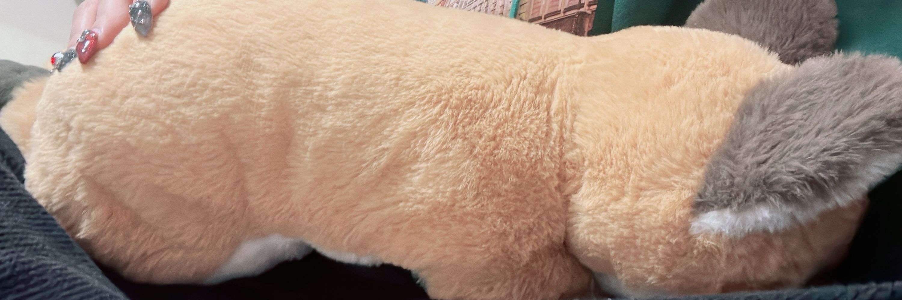 🐻🍯