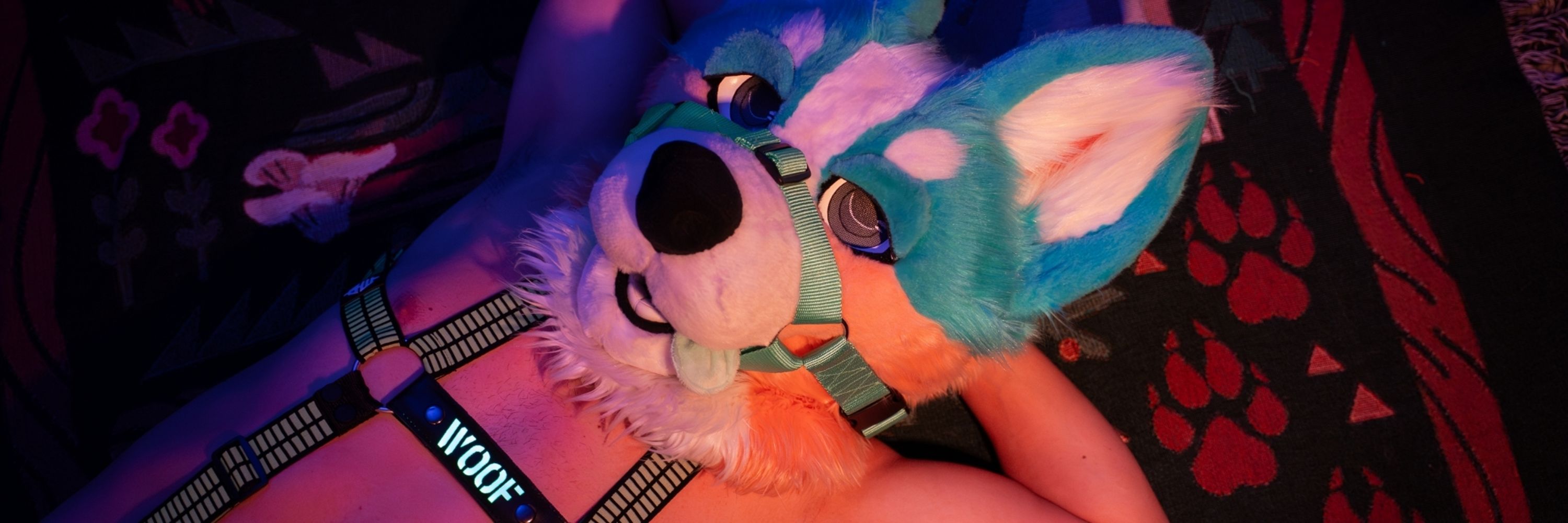 Aki -> GROWL