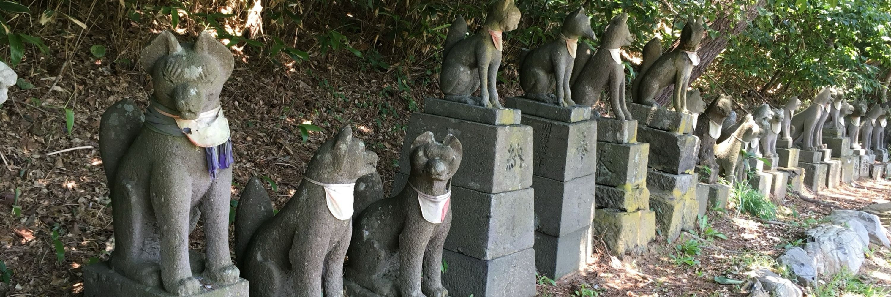 まったりとしたあんこ