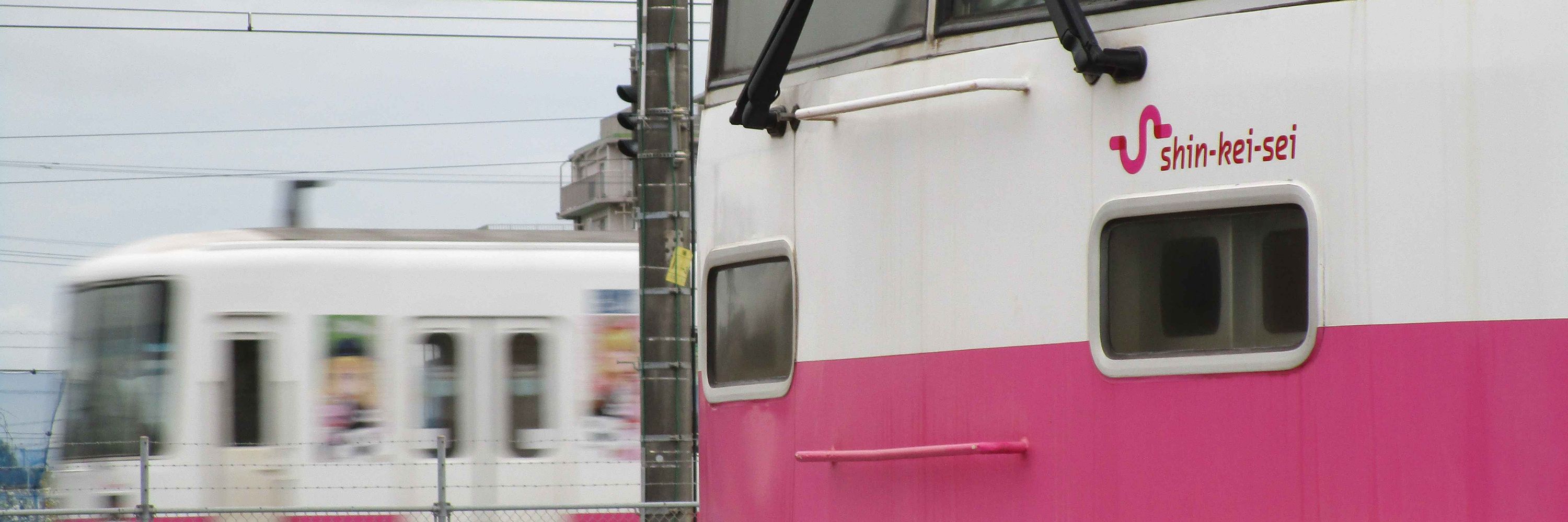 千葉のトム