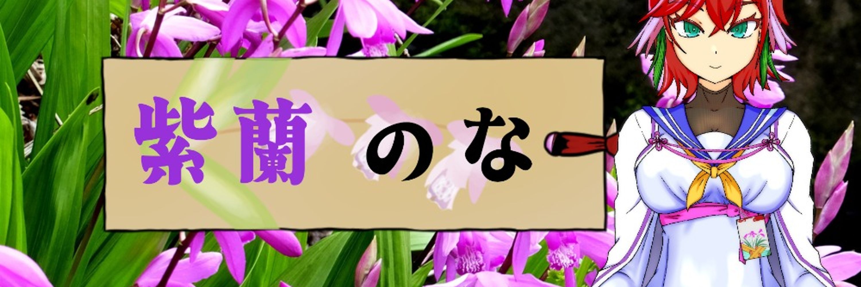 紫蘭のな