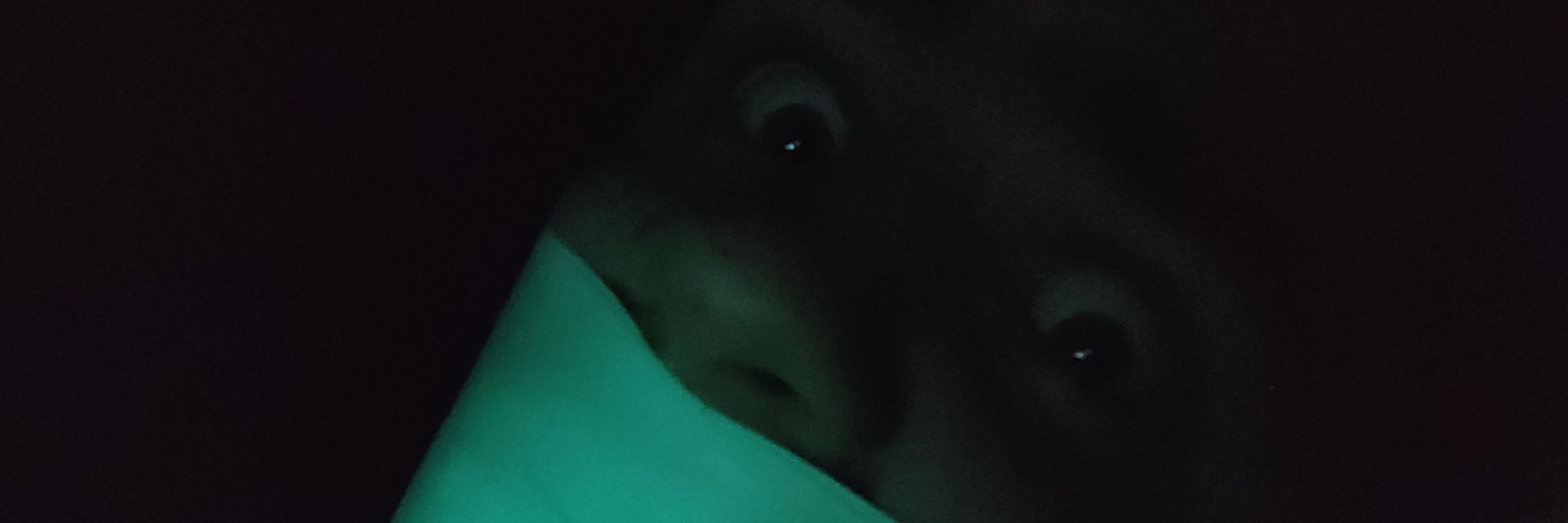 Stow Me Away, Pls