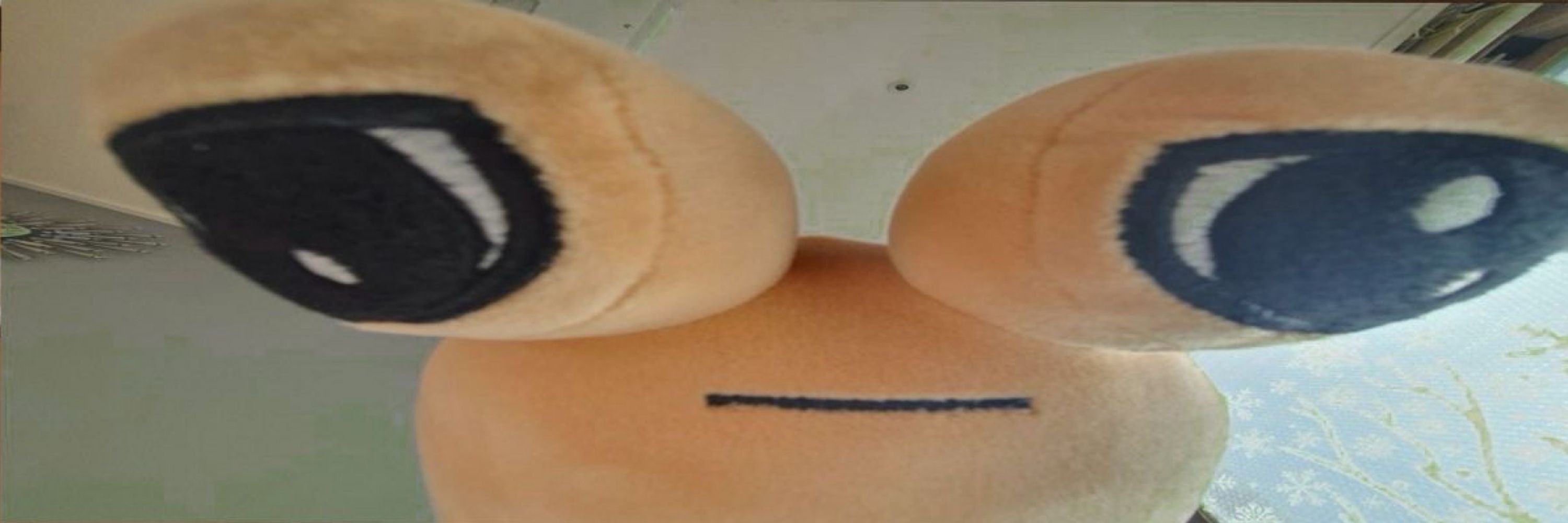 Vitrolha 
