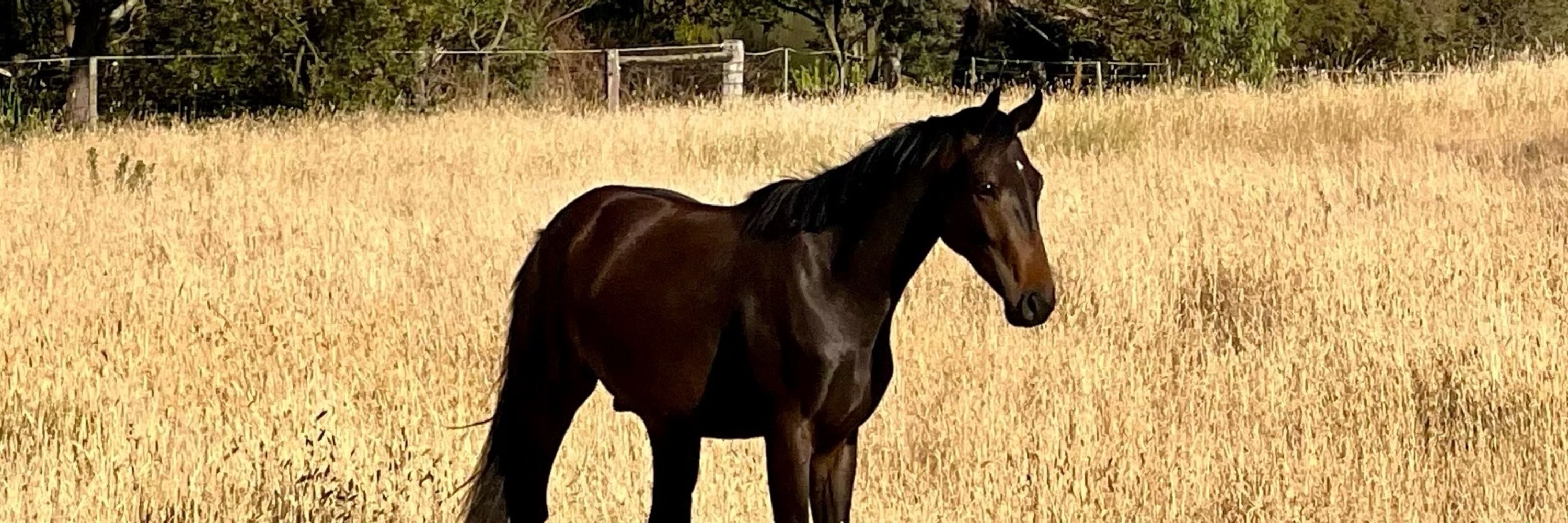 Jan 🇦🇺 🇨🇦