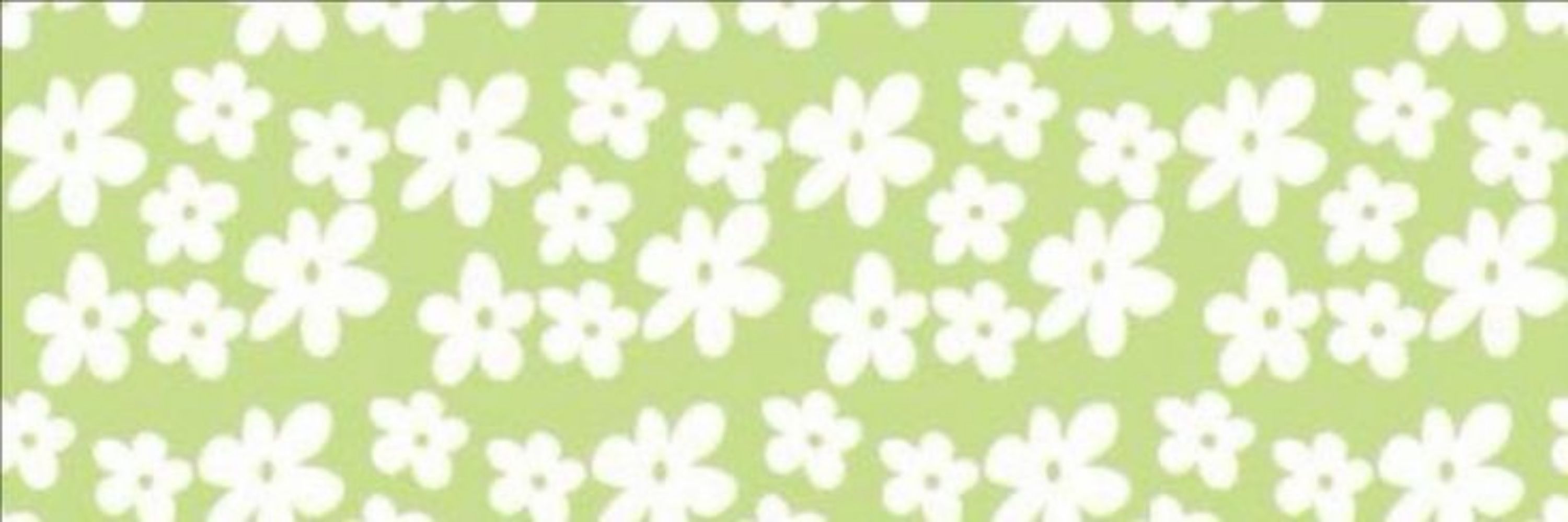🌿 Feenie || COMMS OPEN!