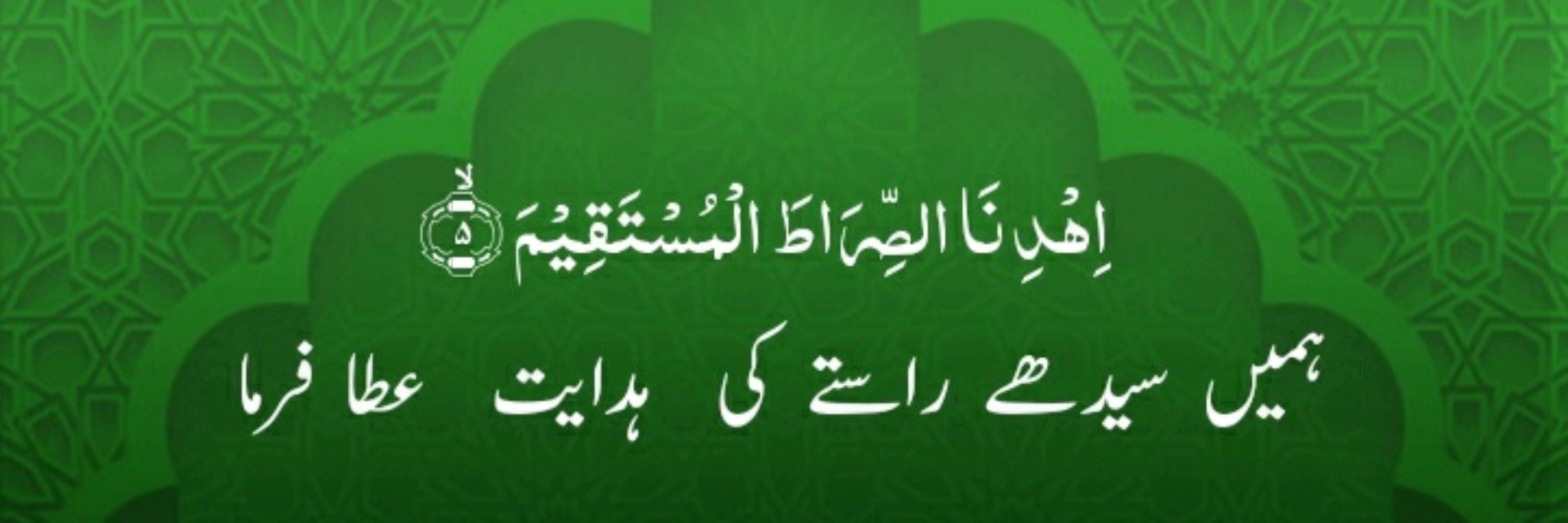 Mohammad Shafique Hashmi