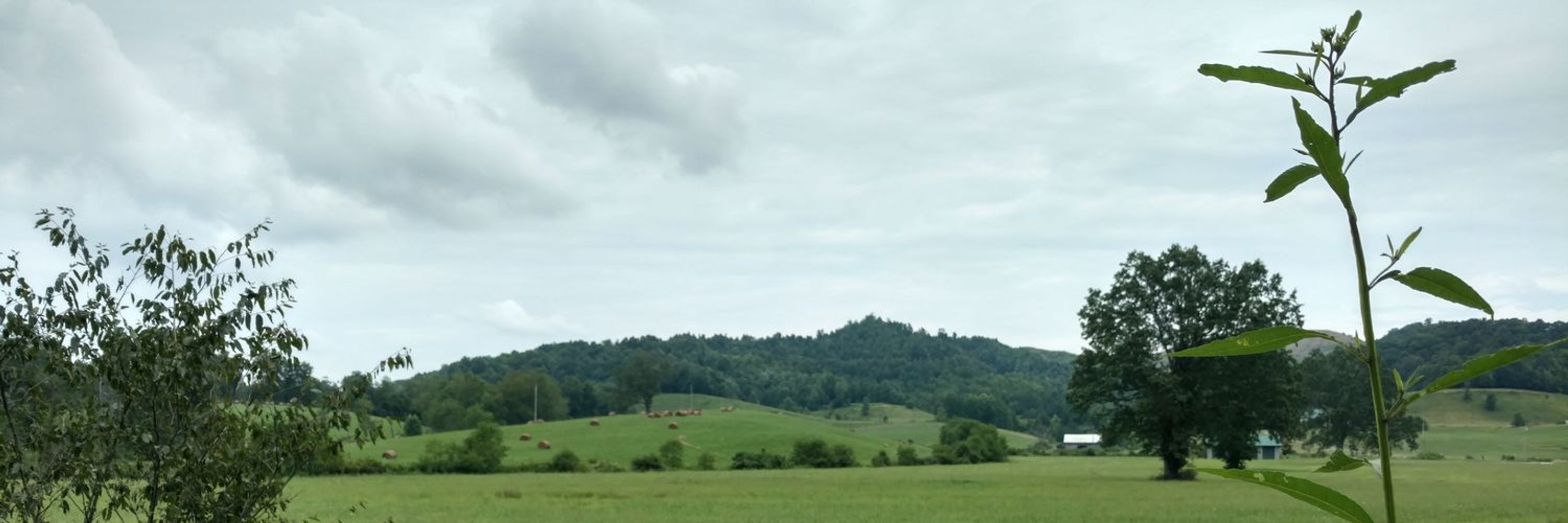 Brαd Mills