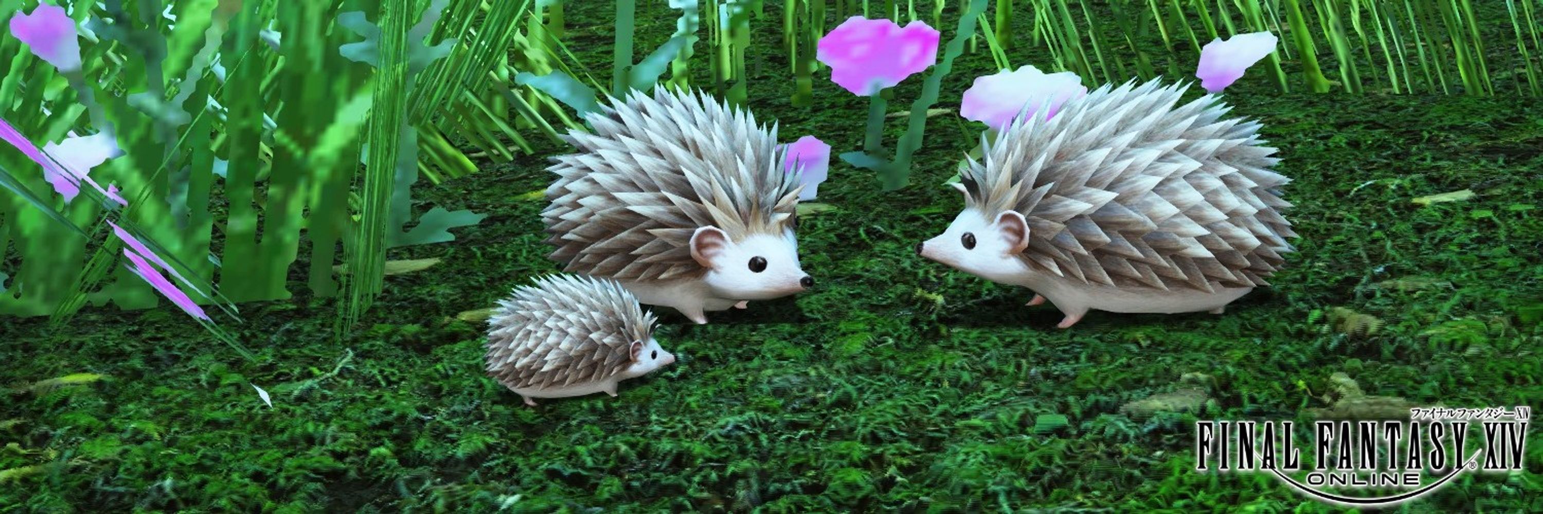 トビタ