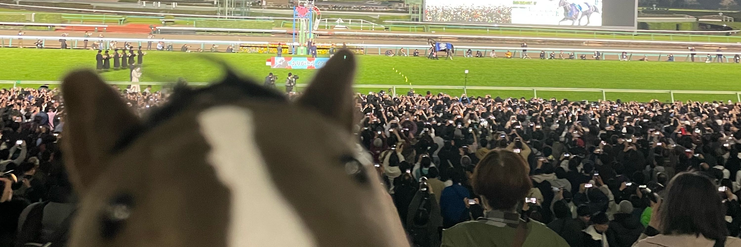 せば