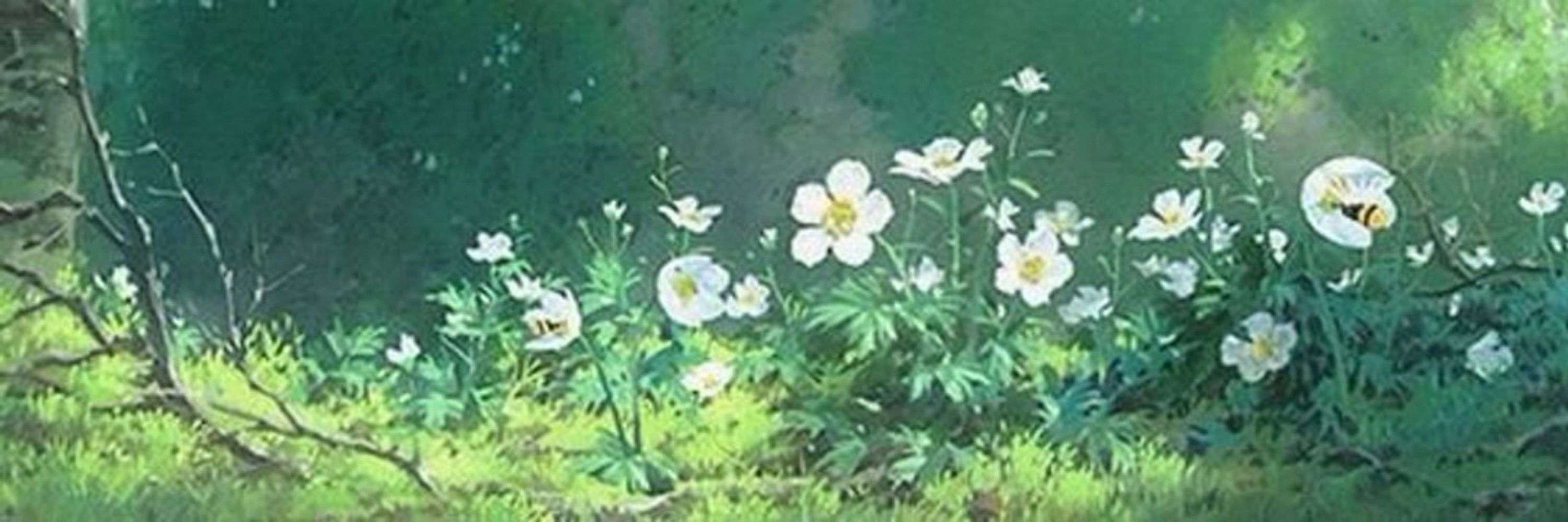 Summer 🌻
