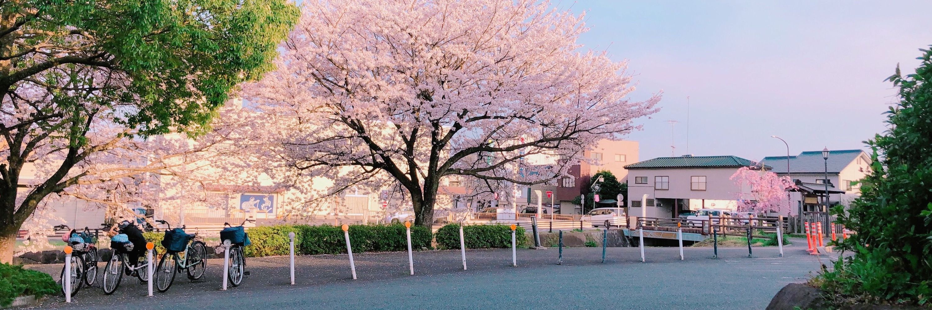 キュウミリ