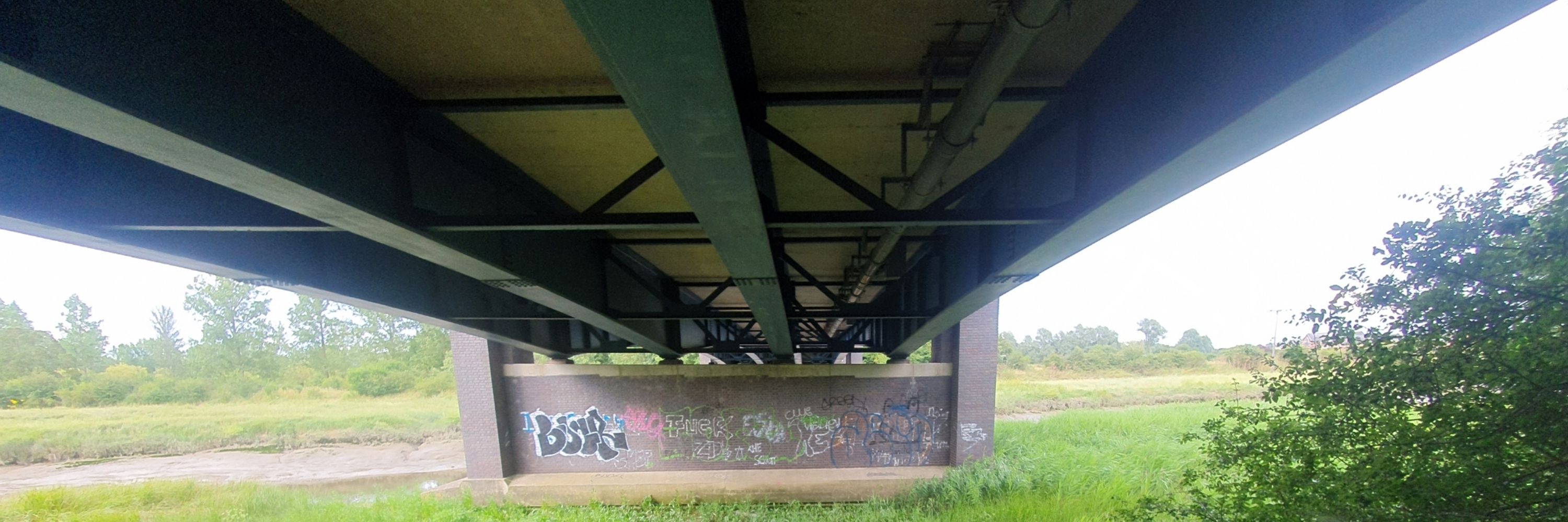 holefucker66