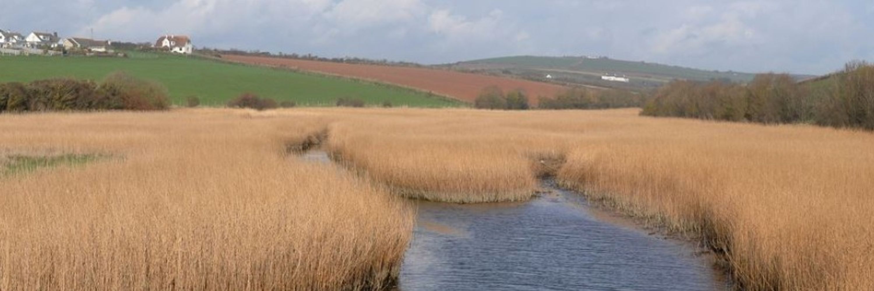 SMLBirder