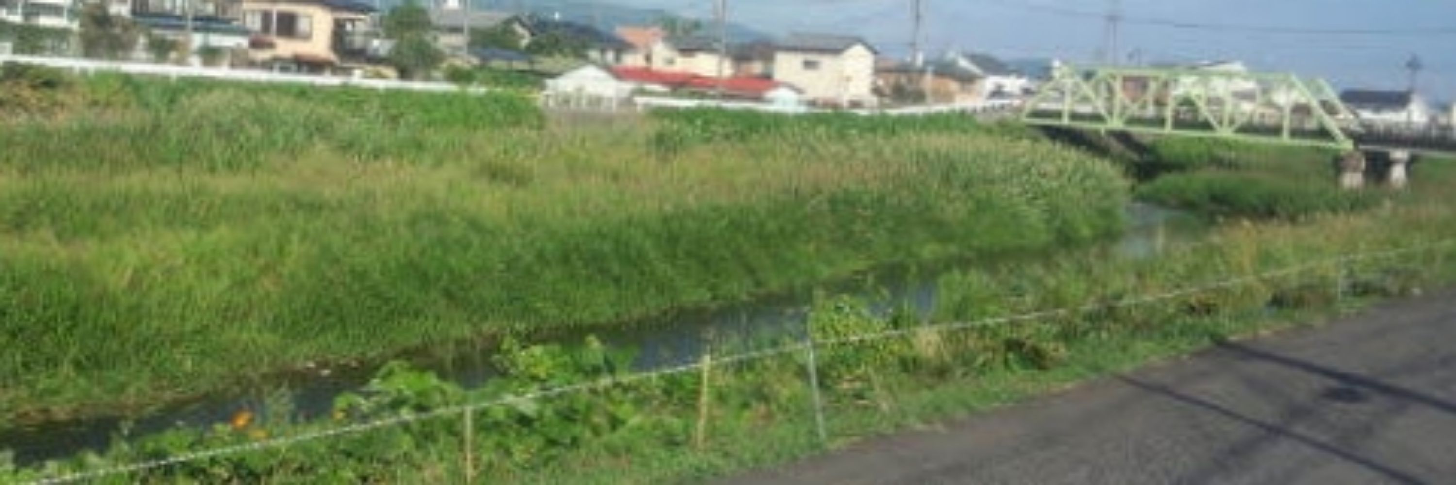 蒼月　潮