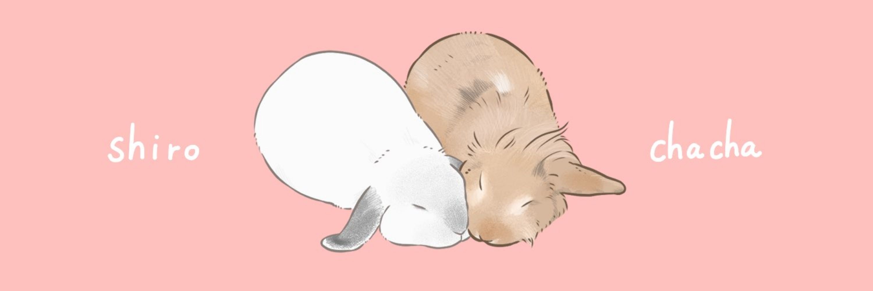 しろきの