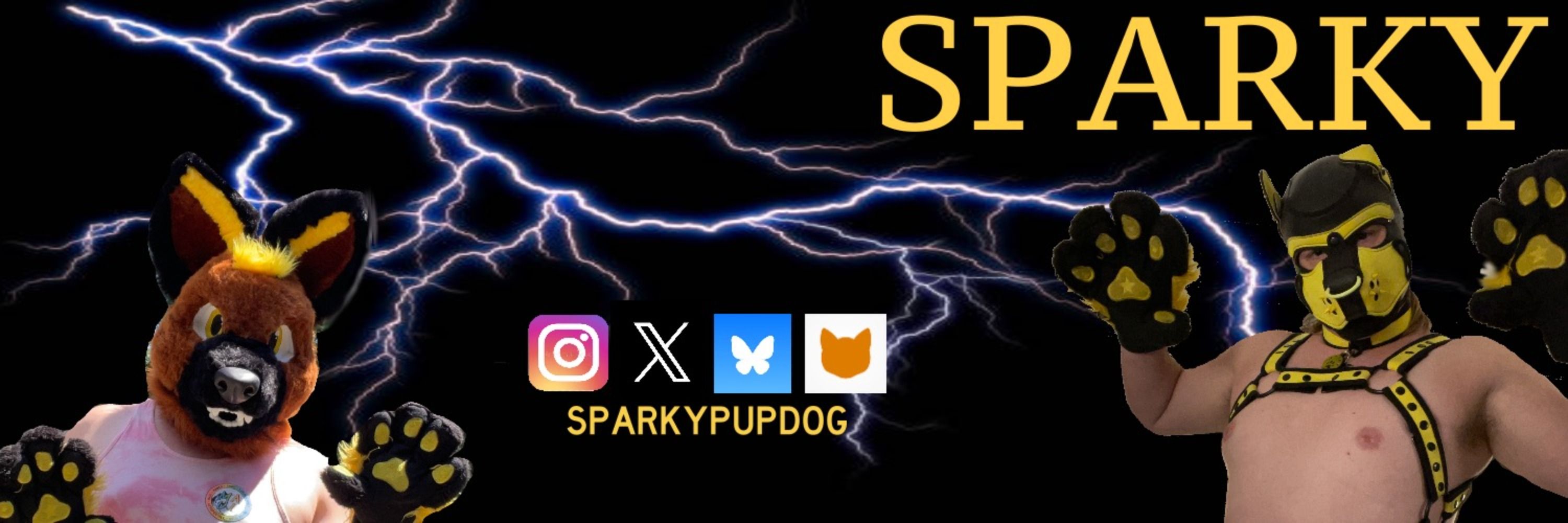 Pup GSD Sparky