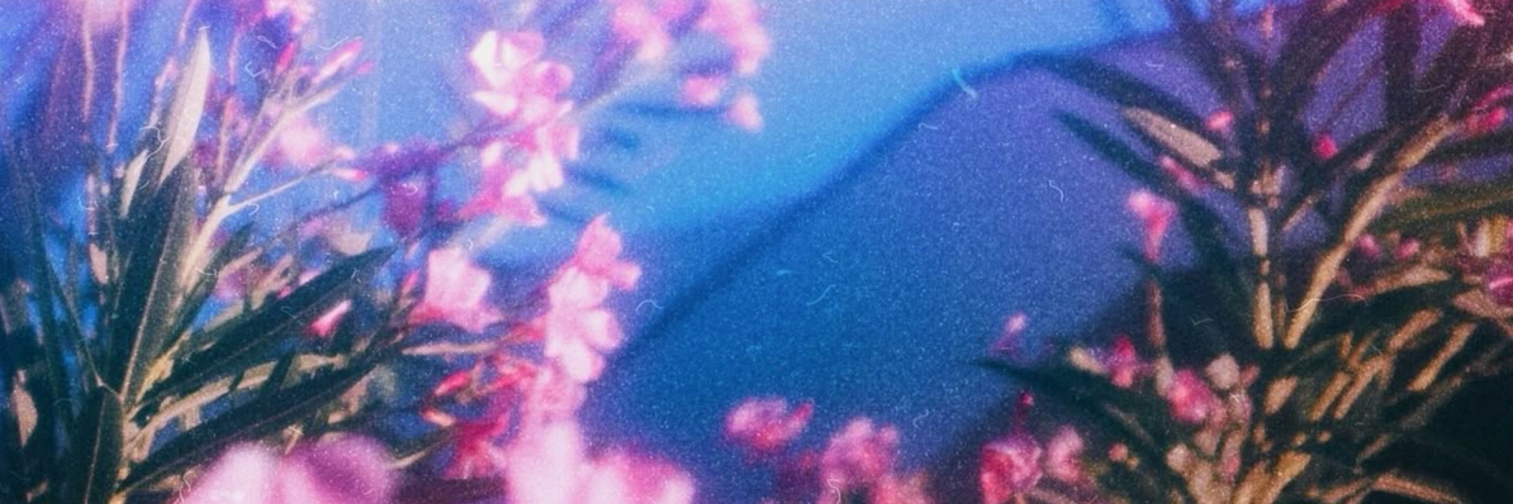 ･ ⟢ ⋮ dakota 🪽 ゛༝.