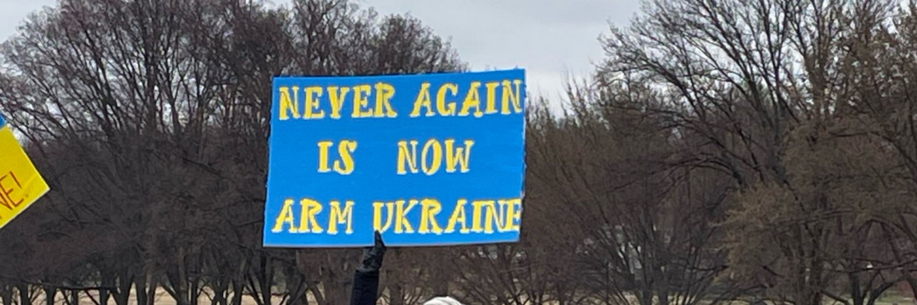 Vera 🇺🇸🇨🇱 🇸🇰 🇺🇦