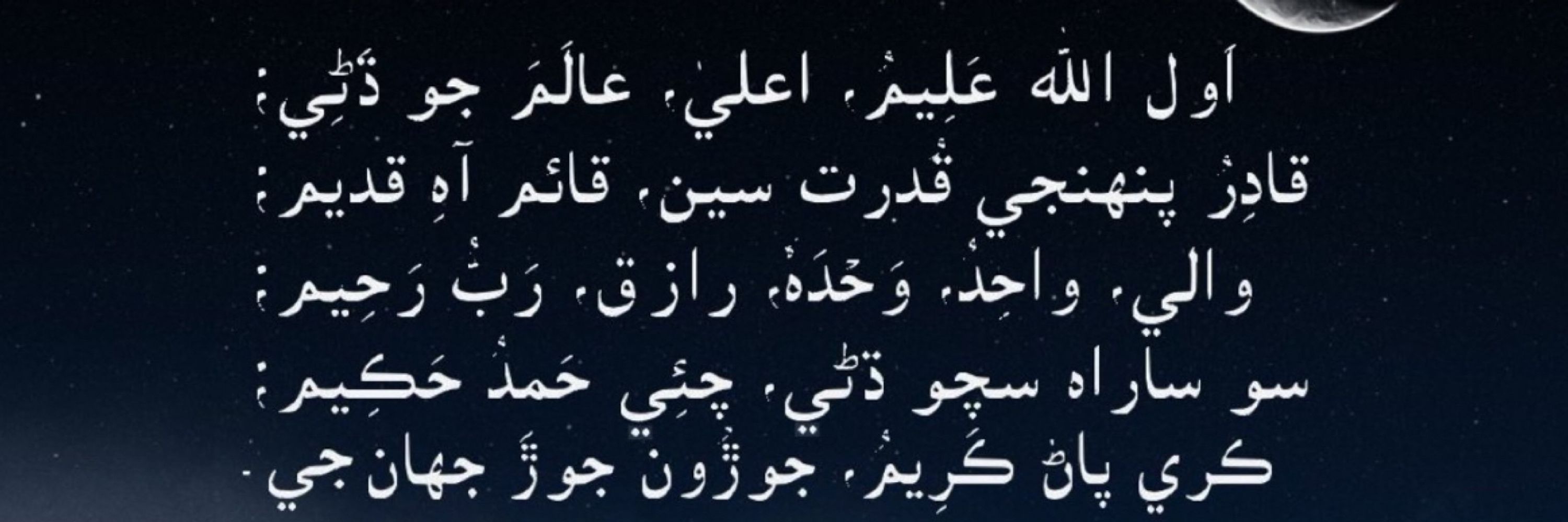 Noor Palijo