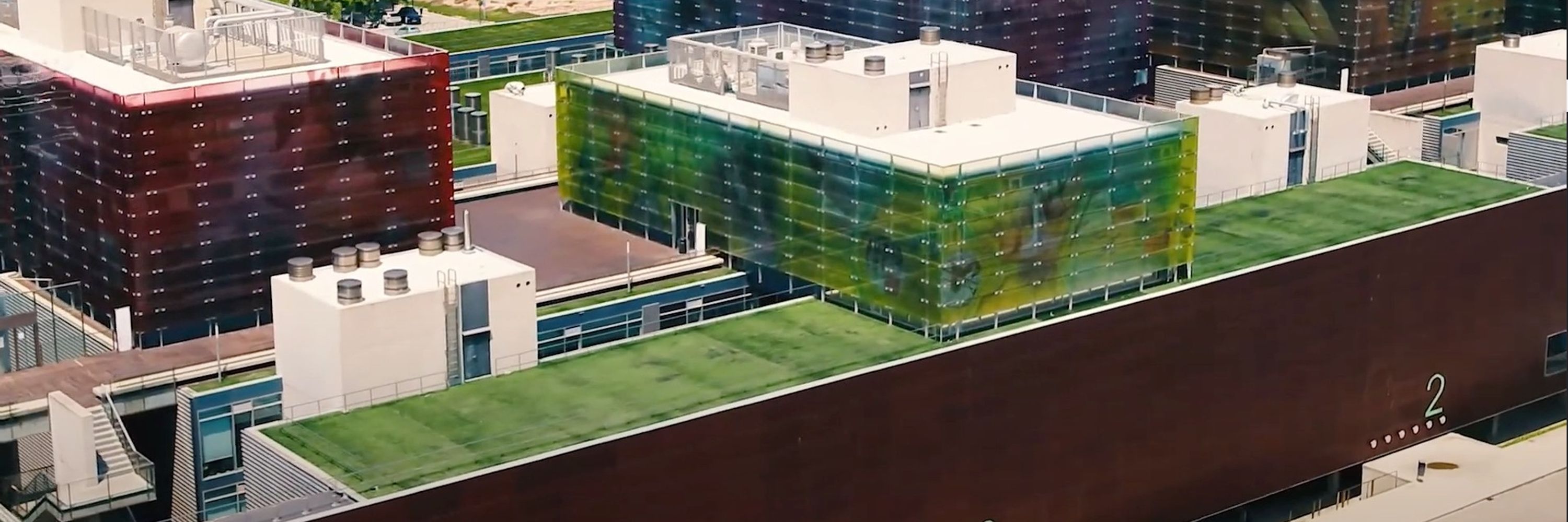 IBMCP - Instituto de Biología Molecular y Celular de Plantas
