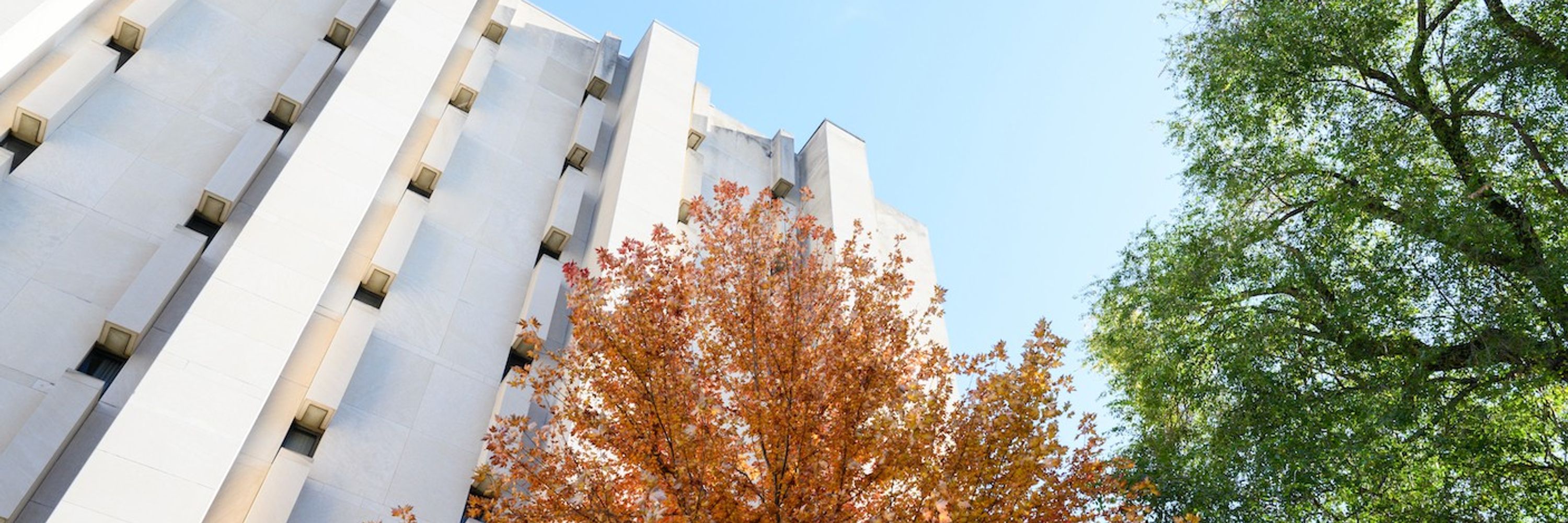 Yale School of Public Health