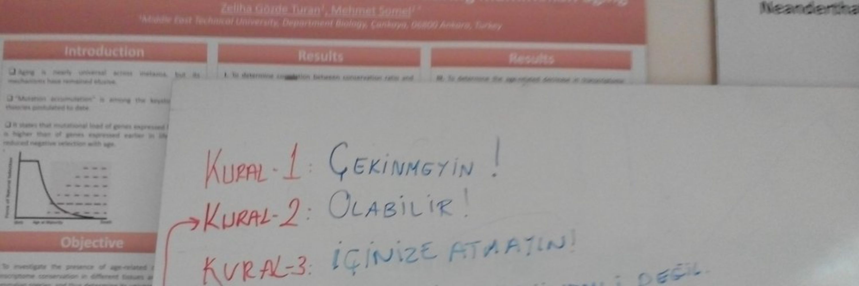 Yetkin Alici