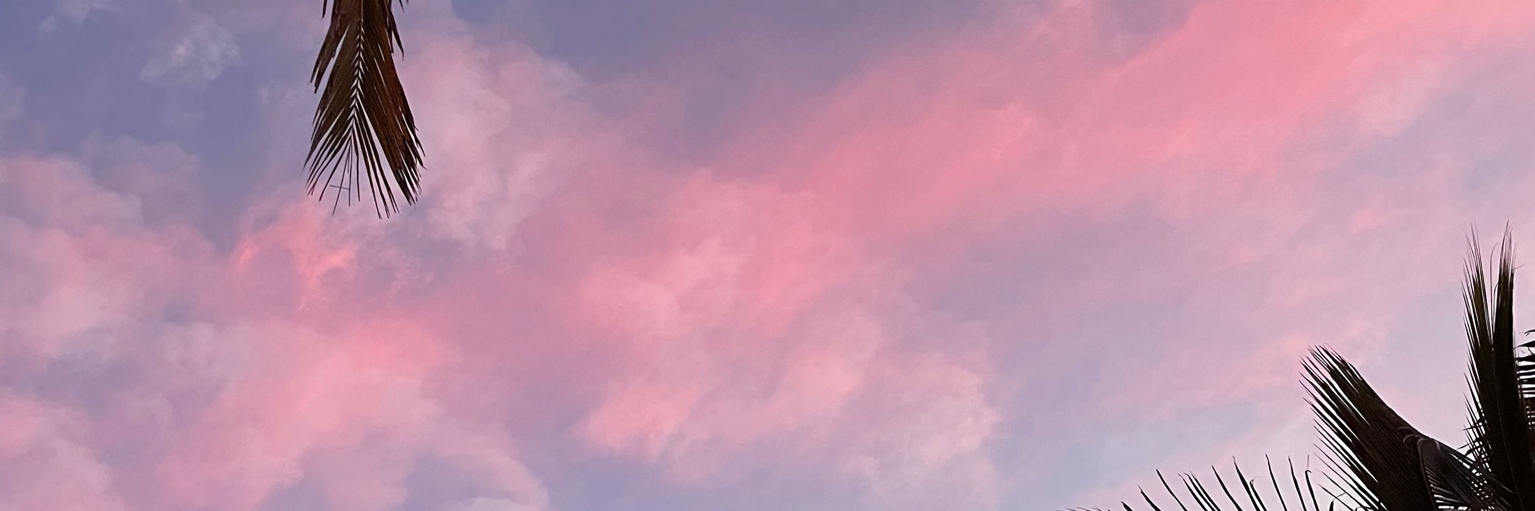 AW