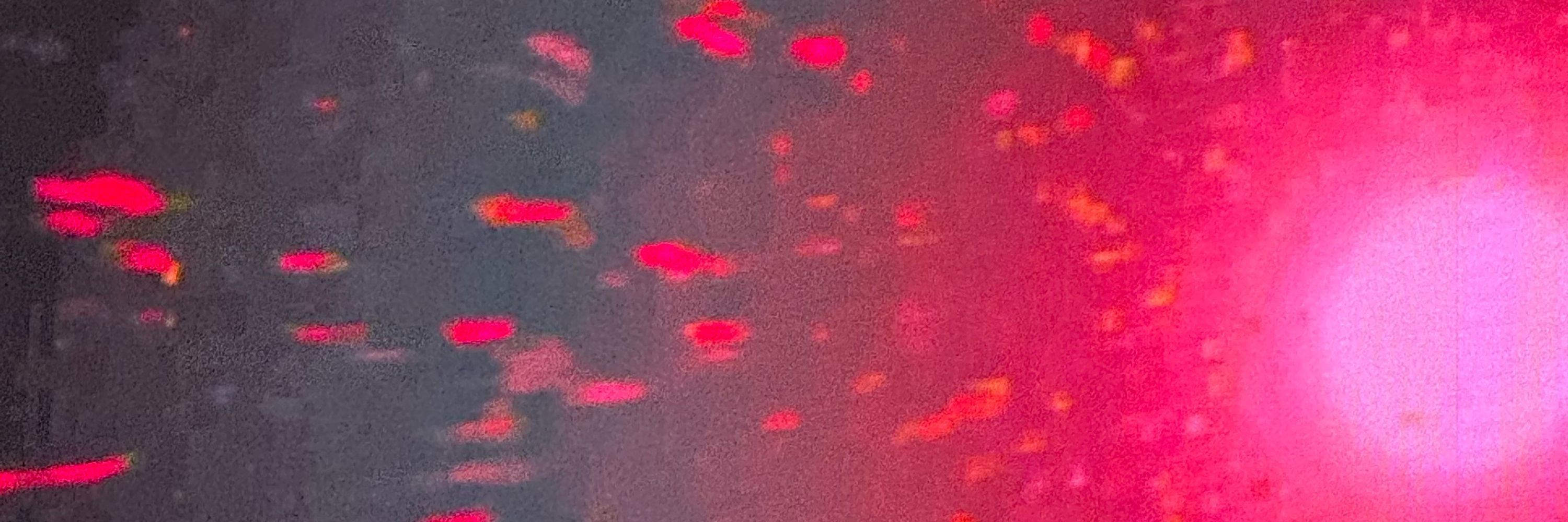 𝐂𝐫𝐲𝐬𝐭𝐚𝐥 Αℓqυιмιzα∂α