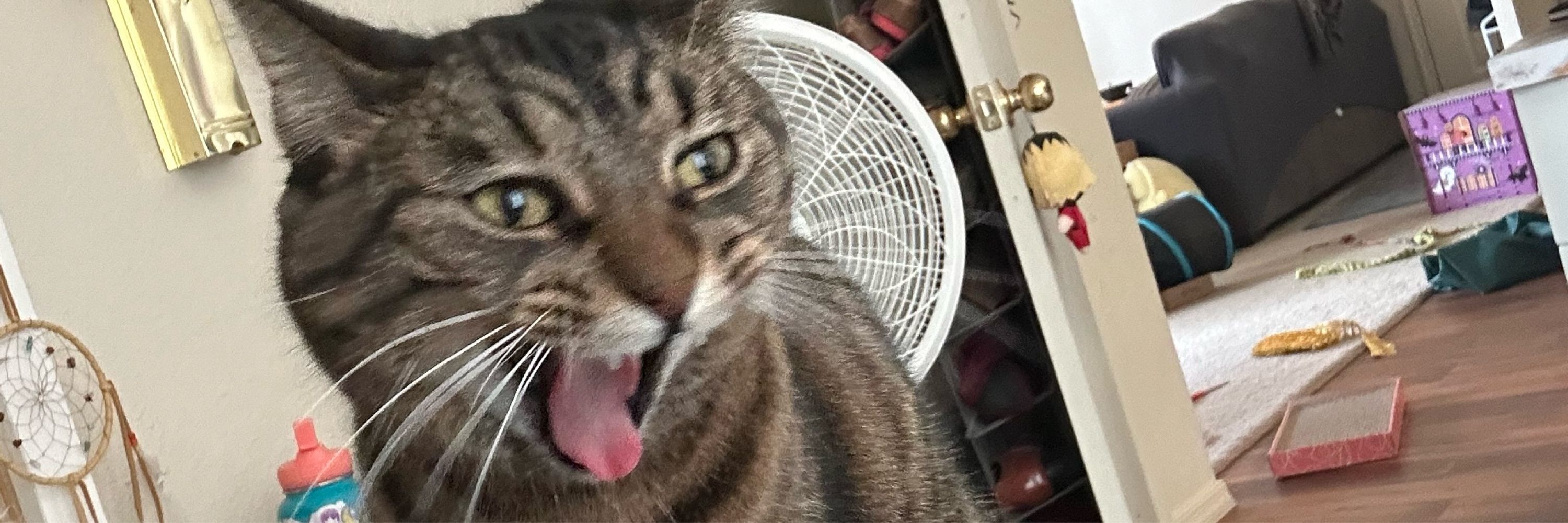 AJ 🧃