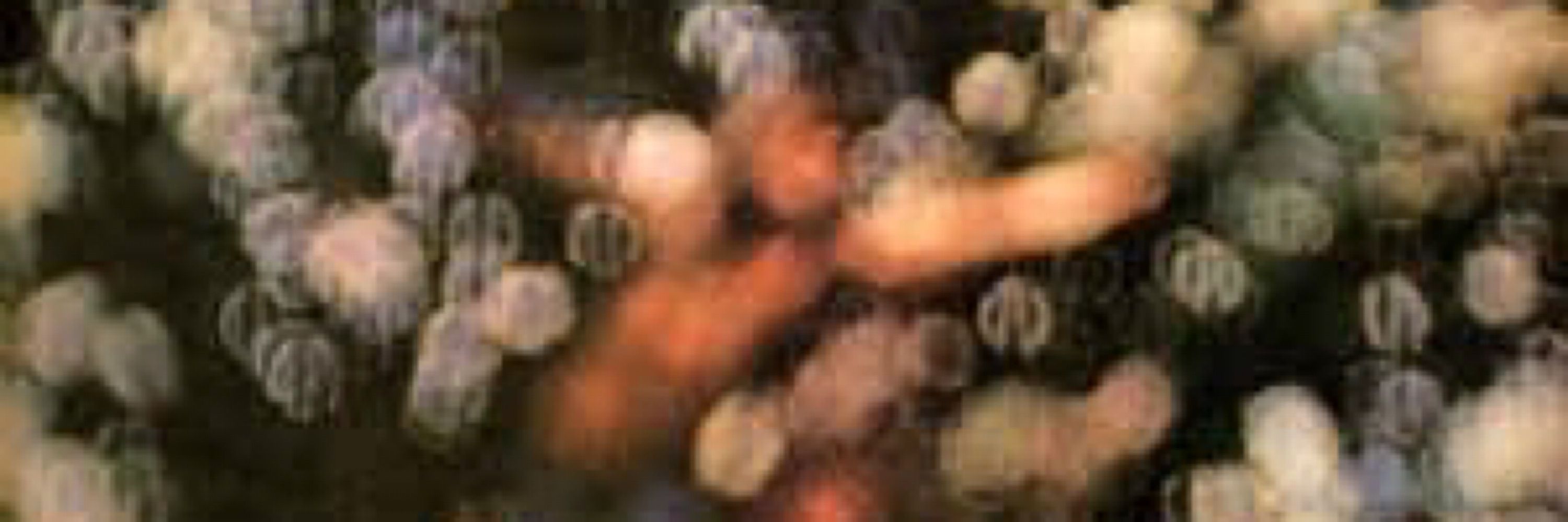 aitakk