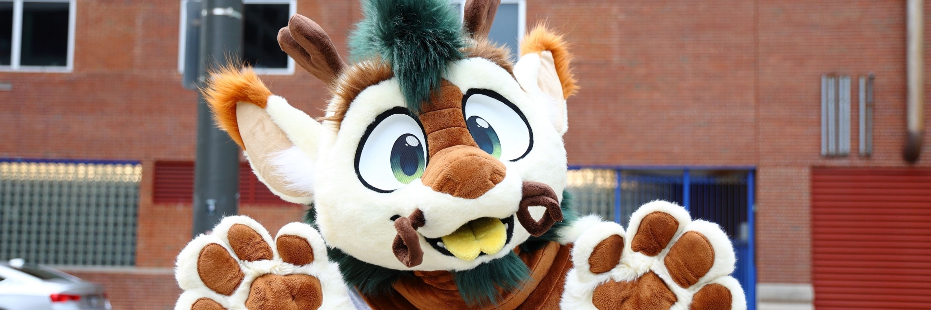 Rufus 🔜 MFF, NYFB, FWA