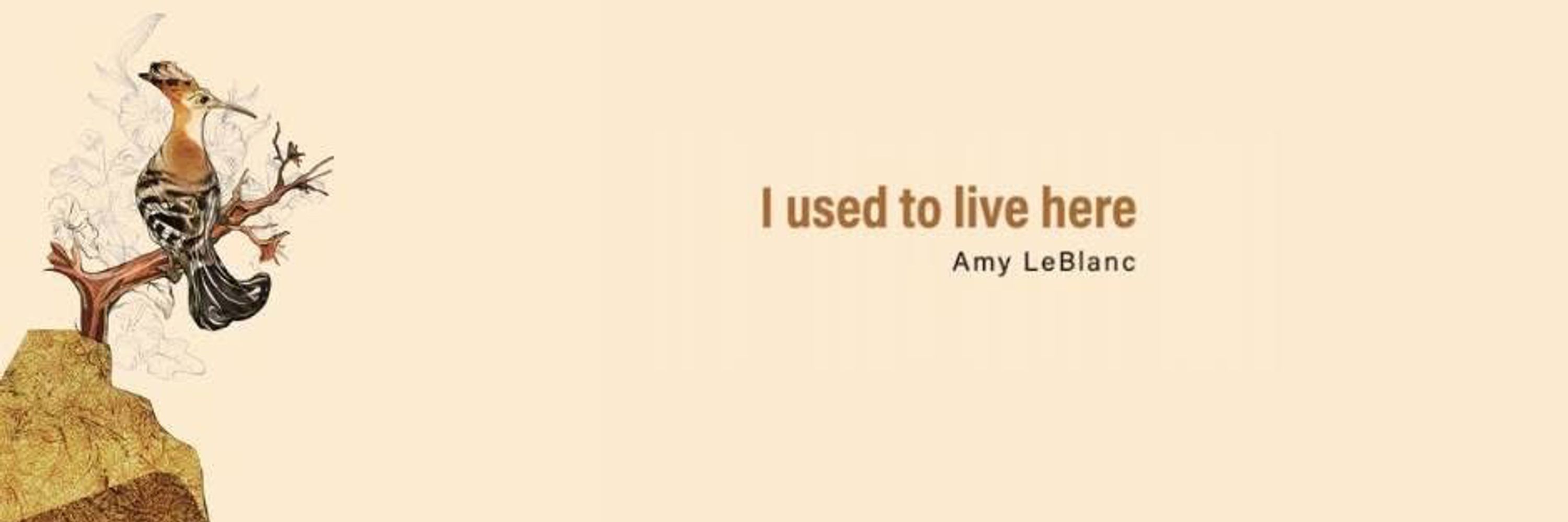 Amy LeBlanc