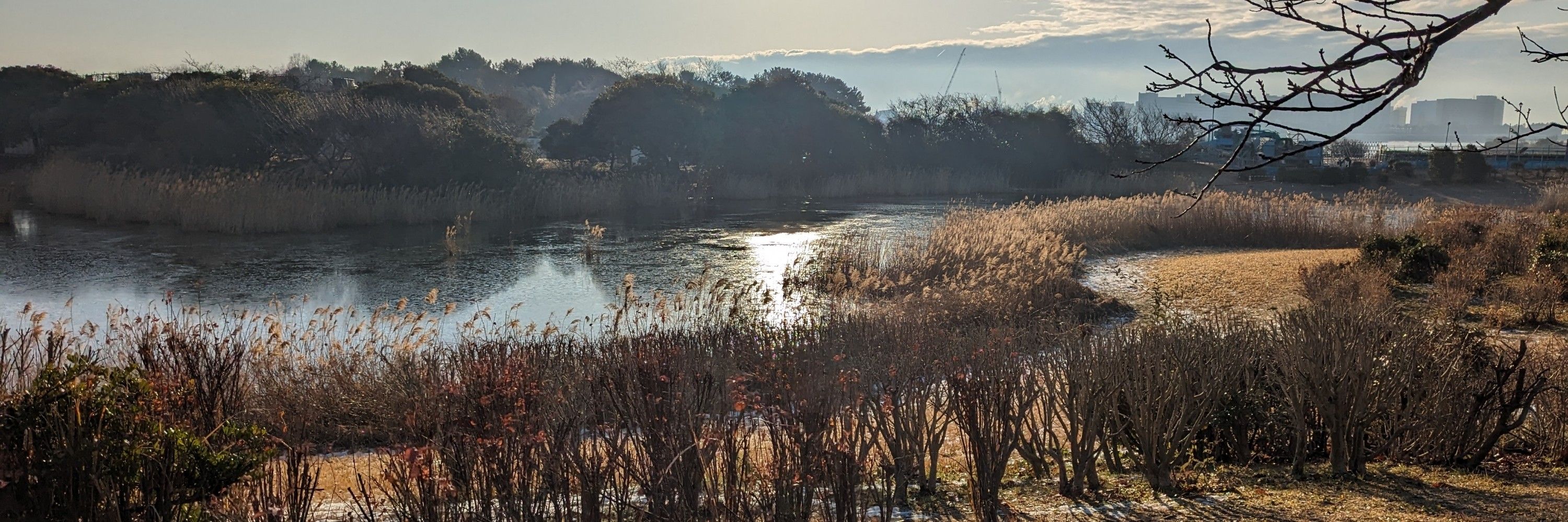 Observation Island