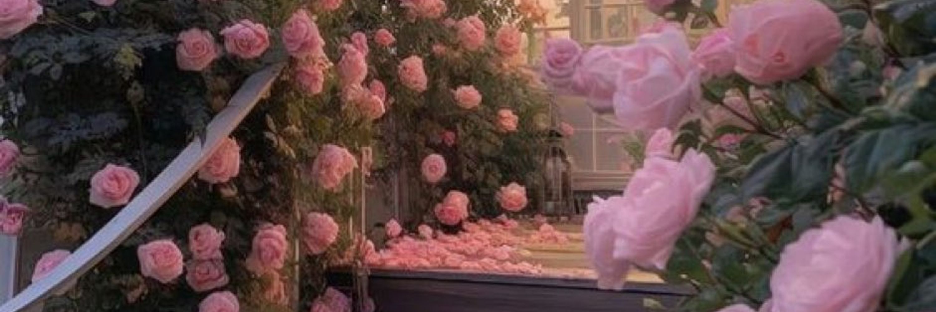 Melody ♥︎ ملودی🎗