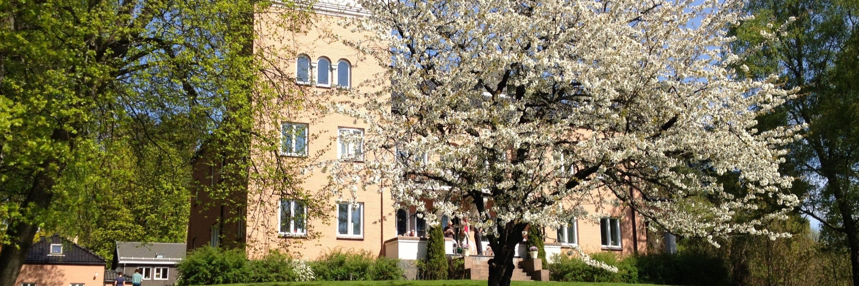 Fridtjof Nansen Institute