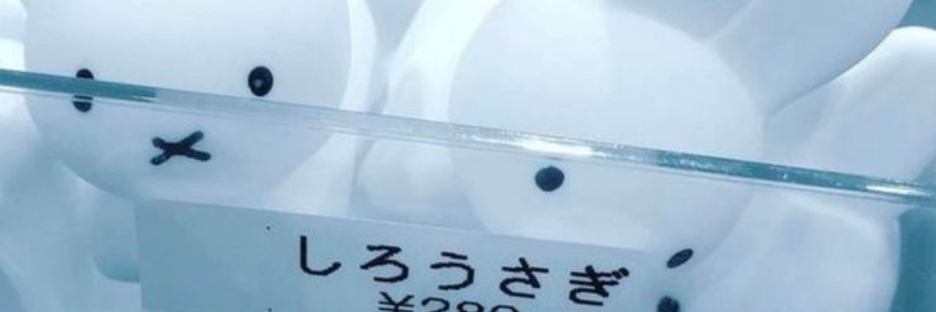 Shrimpy𓏴