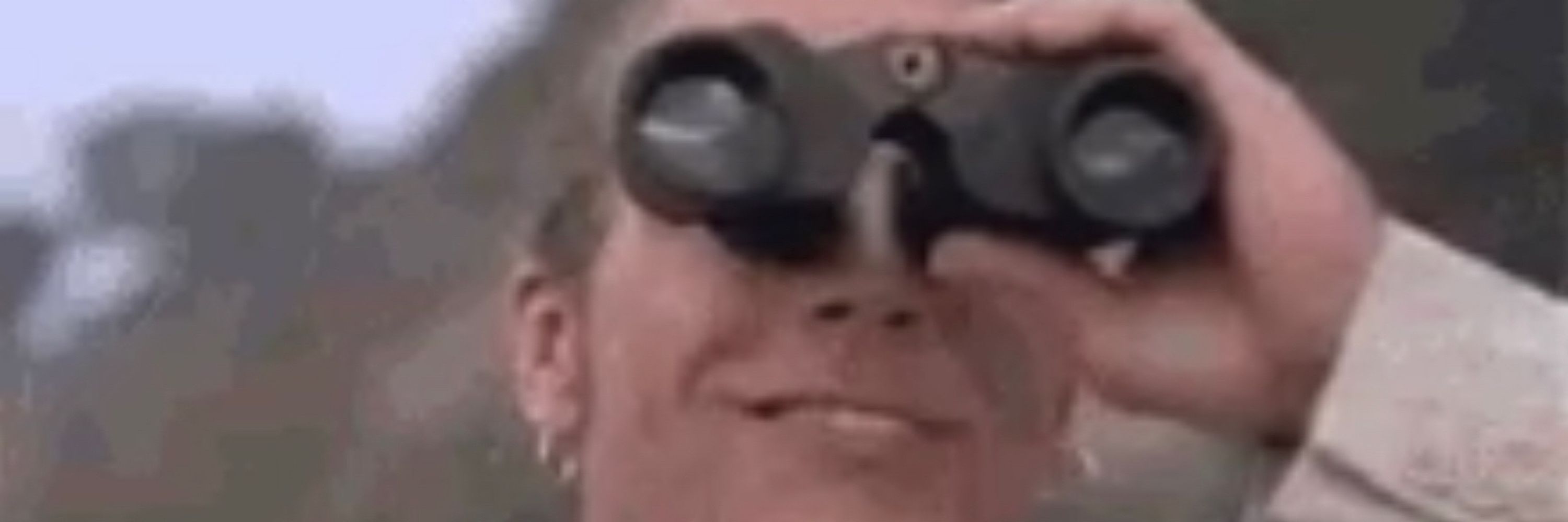 The Birdist