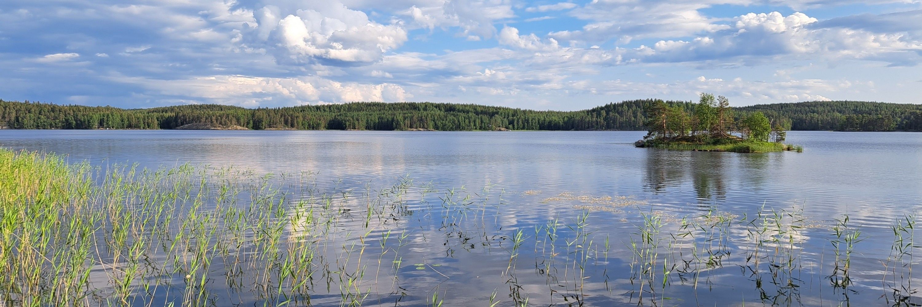 Olli Nykänen 