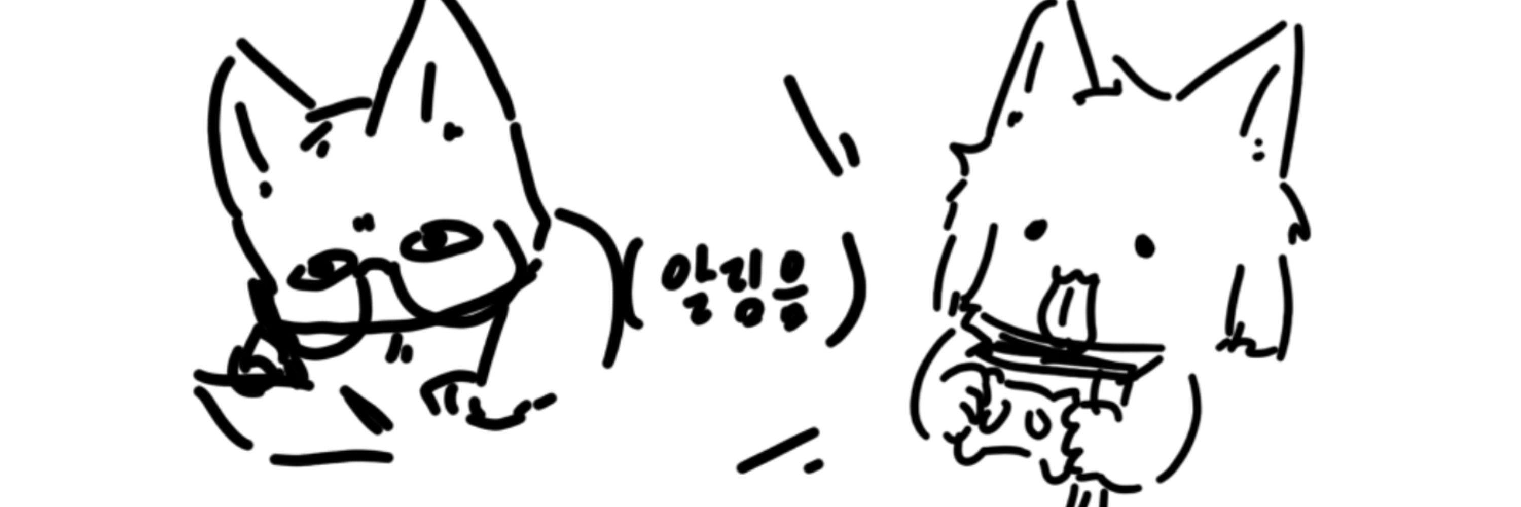 레화씨